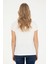 Us Polo Assn T-Shirt 4