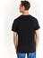 Us Polo Assn T-Shirt 3