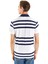 Us Polo Assn T-Shirt 3
