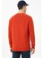 Us Polo Assn Sweatshirt 2
