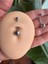 Cerrahi Çelik Göbek Piercing - Bar Uzunluğu 14MM(UZUN) - 1 Adet 1