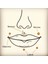 Cerrahi Çelik Vertical Lip Piercing /banana Piercing - 1 Adet 4
