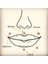 Zirkon Taşlı Bioplast Piercing - Taş Çapı 2mm- 1 Adet 5