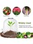 Silhouette 34 Adettakım Kapağı Plastik Mini Sera Anti Donma Bitki Kapakları Çiçekler Aksesuarları Için Şeffaf 26X21CM (Yurt Dışından) 2