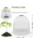 Silhouette 34 Adettakım Kapağı Plastik Mini Sera Anti Donma Bitki Kapakları Çiçekler Aksesuarları Için Şeffaf 26X21CM (Yurt Dışından) 5