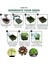 Silhouette 10 Paket Tohum Tepsileri Nem Ayarlı Kubbeli ve Tabanlı Bitki Çimlenme Kiti Ekim Tohumları Dağıtıcıyı Içerir (Yurt Dışından) 5