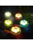 Silhouette 2 Adet Lotus Güneş Fener, Yüzer Havuz Işıkları Rgb LED Güneş Işıkları Lotus Çiçeği Su Geçirmez Yüzer Lamba D (Yurt Dışından) 2