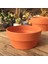 Silhouette 5pcs Etli Tabak Yeşil Bitkiler Saksı Balkon Saksı Bahçe Malzemeleri (Yurt Dışından) 5