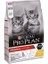 Proplan Kitten Tavuklu Pirinçli Yavru Kedi Maması 3 kg 1