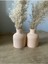 Pampas Vazosu, Iskandinav Dekoratif Beton Vazo Biblo 10CM Çok Şık 2'li Gönderim 1