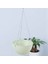 Silhouette Yuvarlak Plastik Asılı Sepet Saksı 16X10 cm Bahçe Tesisi Zincir Ekici Dekorasyon Asılı Saksılar (Yeşil) (Yurt Dışından) 2