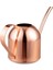 Silhouette 33OZ1000ML Küçük Paslanmaz Çelik Sulama Kovası Kapalı Açık Metal Sulama Kabı Ev Bitkileri ve Çocuklar Için Uzun Borulu-Gül Altın (Yurt Dışından) 2