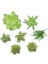 Silhouette 7 Adet Yapay Etli Bitkiler Yeşil Saksısız Sahte Çiçek Succulents Ev Bahçe Süslemeleri Için Mini Echeveria (Yurt Dışından) 1
