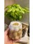 Boncuk & Üzüm Şekilli Isıya Dayanıklı Borosilikat Kahve Sunum Pinterest Bardağı 3