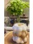 Boncuk & Üzüm Şekilli Isıya Dayanıklı Borosilikat Kahve Sunum Pinterest Bardağı 4