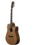 ACZP800 Akustik Gitar 1