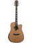ACZP800 Akustik Gitar 2