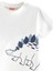 Dinozor Erkek Çocuk T-Shirt Müslin Şort Takım 5