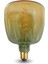 Rustik LED Ampul Yellow To Green E27 4W 2100K 280LM 1