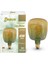 Rustik LED Ampul Yellow To Green E27 4W 2100K 280LM 2