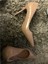 Kadın Nude Ten Rugan 8cm Ince Şeffaf Kapak Topuklu Stiletto Ayakkabı 2