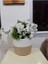 24*22 Sepet Saksılık Düzenleyici Hediyelik Sepet Organizer Banyo Sepeti Çiçeklik 5