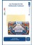 Villa Sole Chinotto Di Amalfi Katı Sabun 250gr | Canlandırıcı Ve Antioksidan | Acı Portakal Özü 1