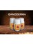 Ganoderma Takviye Edici Gıda 350 (90 Kapsül) 1