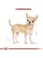 Royal Canin Chihuahua Adult Yetişkin Köpek Maması 1.5 kg 5