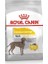 Royal Canin Adult Maxi Dermacomfort Yetişkin Köpek Maması 12 kg 1