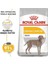 Royal Canin Adult Maxi Dermacomfort Yetişkin Köpek Maması 12 kg 2