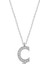 Mulvxeasy EASY02 925 Ayar Rodyum Kaplama Ç Harfi Kadın Kolye (T6679) (8585) (Mulvix) 2