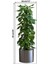 Mulvxurg URG02 Saksılı Bitki Tasarımlı Yapışkanlı Sticker Resim 90*30 MC-665 (Mulvix) 3