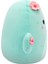 Kaktüs Graciela 20 cm CR06580 3