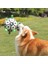Pet Top Corgi Oyuncak Eğitim Topu Köpek Oyuncak Top Shiba Köpek Kalınlaşmış Futbol Oyuncak (Yurt Dışından) 3