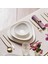 Red Carpet Collection Fine Pearl Tristan 62 Parça 12 Kişilik Yemek Takımı Gold 3