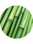 Bambu Yastık Alezi 50 x 70 5