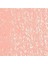 Neopastel Yumuşak Yağlı Pastel Salmon 051 4
