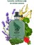 Scent Mix Elegant Rose Kadın Parfüm ve Green Fougere Erkek Parfüm Paketi 5