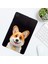 Samsung Galaxy Tab S10+/S9 Fe+/s9+ Kılıf Desen Baskı Ince Tpu Tablet Koruyucu Kapak-Kısa Tüylü Kedi 5