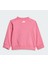 Seasonal Essentials Fun Track Suit Set Kids JD0061 3