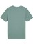 Erkek Puma Class Graphic Tee Yeşil Erkek T-Shirt 1