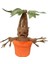 Harry Potter Mandrake Mandela gr Peluş Oyuncak (Yurt Dışından) 1