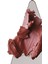 Pocket Blush Allık Sleepy Girl 5.3gr 2