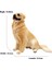 Simülasyon Pvc Köpek Hayvan Modeli Süsler (Yurt Dışından) 1