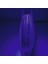 Hazır Çapari Kombini Ultraviyole Uv Neon Kristal + Balık Sırtı + Lazer Hologram Makara 9
