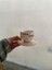 Canım Annem Seramik Mug Kupa Bardak 1