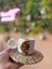 Ay ve Ayıcık Seramik Mug Kupa 24K Altın Kaplama 1