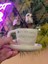 Yazılı Kahve Fincanı Seramik Kupa Mug 4