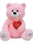 Tıkıl Ayı 57 cm Pembe Kalpli Peluş Ayı Sevgiliye Hediye 1